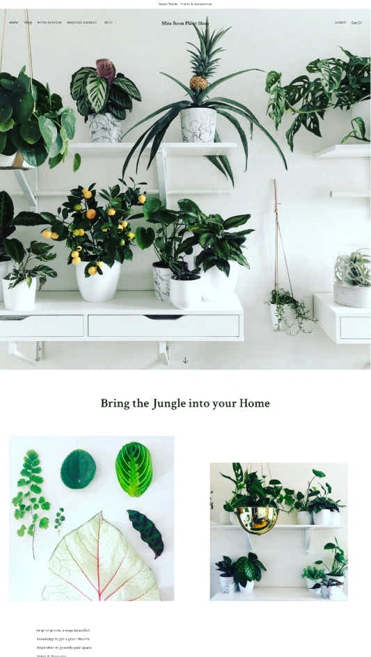 居家與園藝行業的網店範例